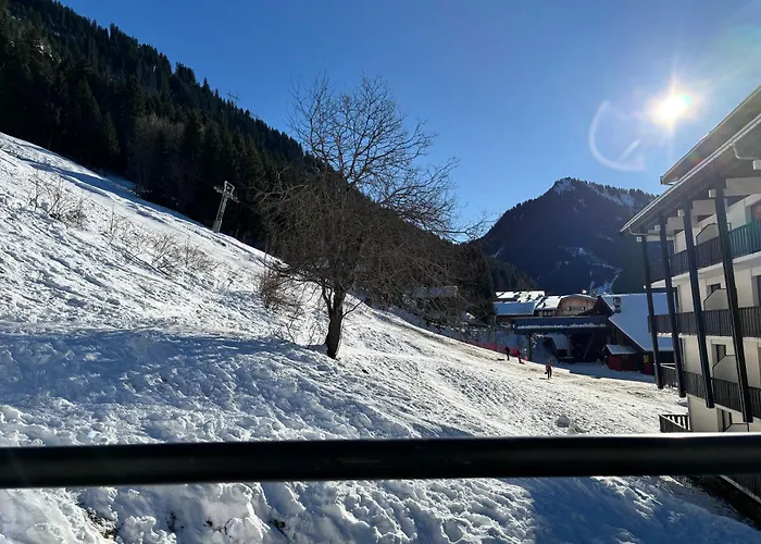 Le Savoisien, In Centrum 150 M Ski-lift